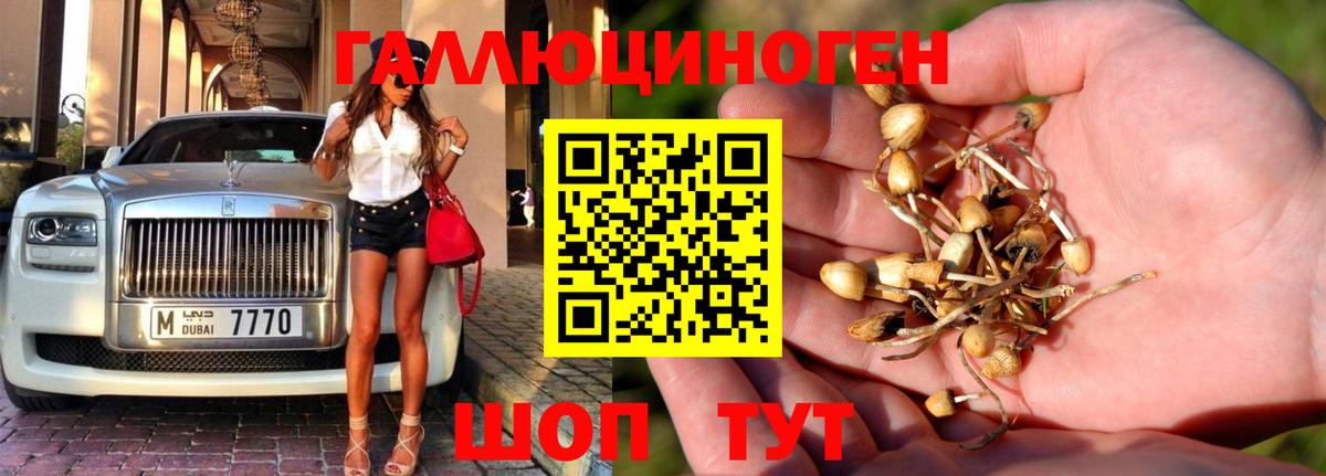 Псилоцибиновые грибы мицелий Соль-Илецк